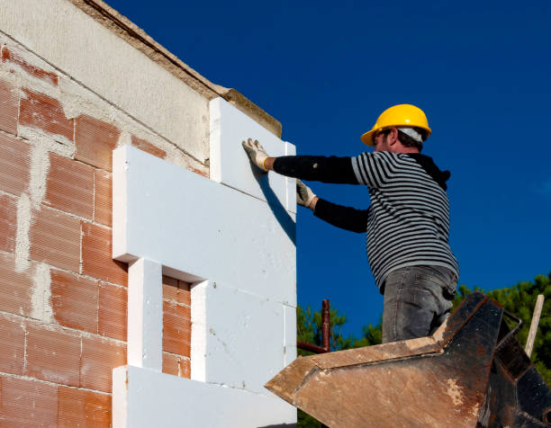 Best Local Insulation Services  in Kershaw, SC