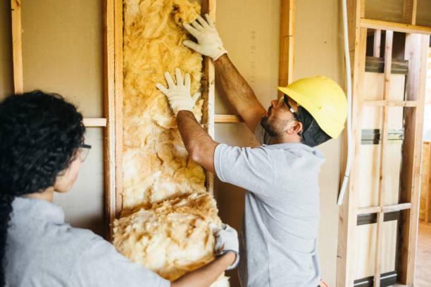Best Residential Insulation Services  in Kershaw, SC