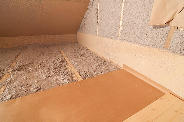 Best Professional Insulation Contractor  in Kershaw, SC