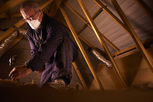 Best Best Insulation Companies  in Kershaw, SC